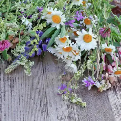 Vibrant wildflower bouquet with daisies for perennial landscaping benefits