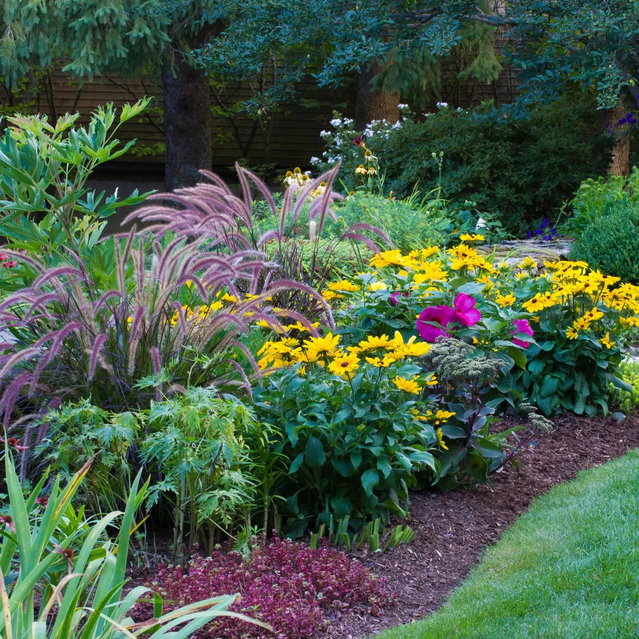 What Is the Rule of 3 in Gardening?  TN Nursery