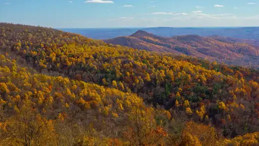 Vibrant autumn foliage on rolling hills, top fall destination