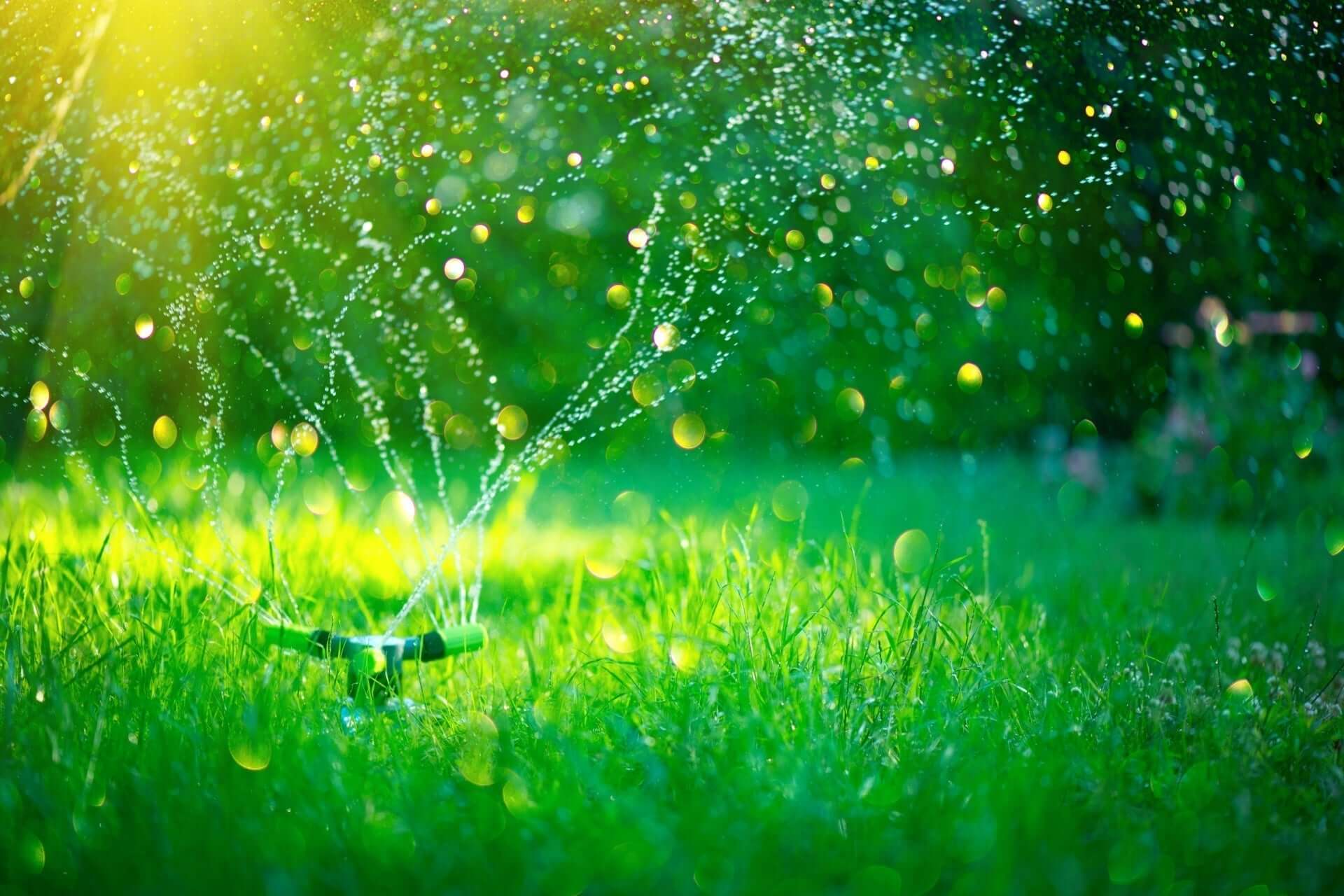 Green lawn sprinkler head spraying water in sunlit garden
