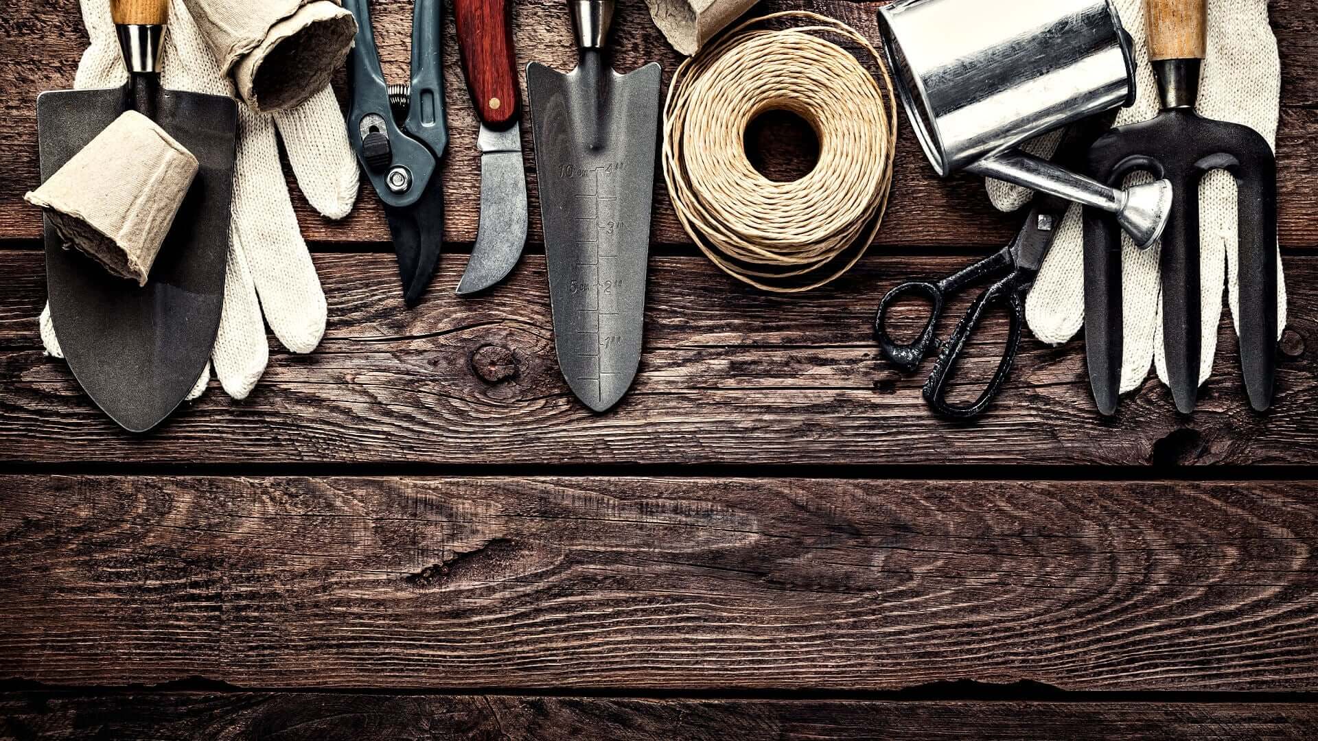 Essential beginner gardening tools: trowels, pruners, fork, scissors, gloves