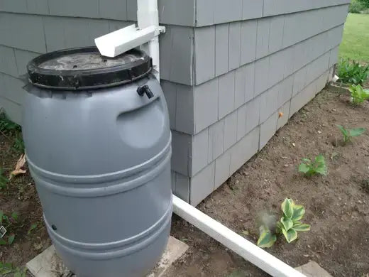 Gray plastic rain barrel with black lid and white downspout for rainwater harvesting