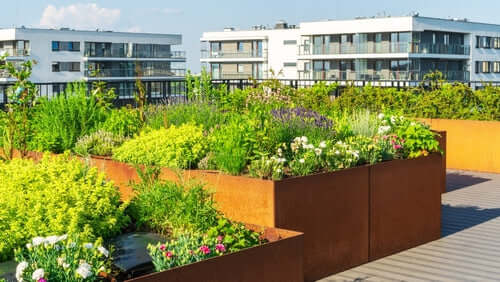 Rust-colored planter boxes with native plants for rooftop gardens