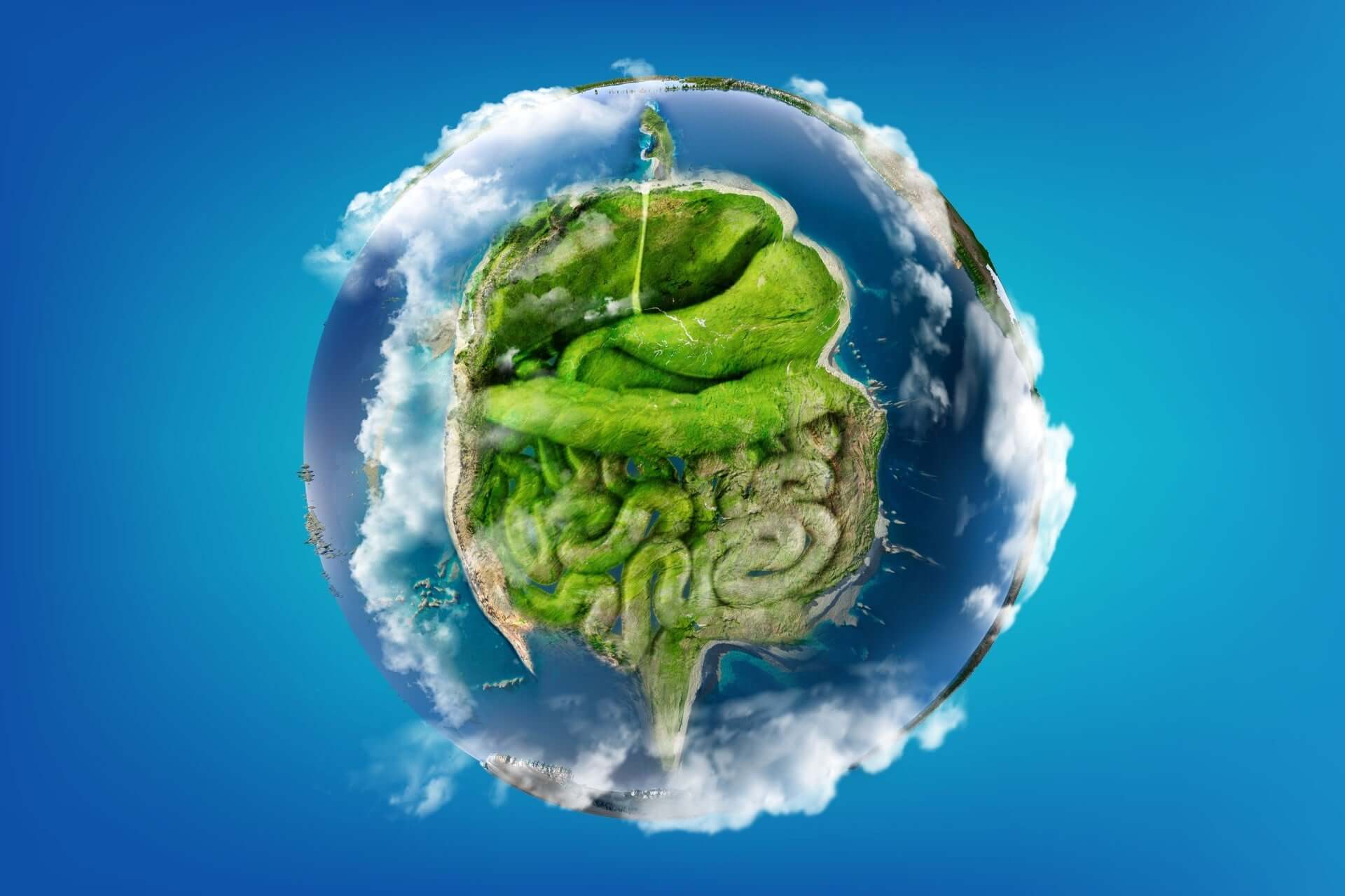 Surreal globe with green brain-shaped landmass in plant anatomy diagram