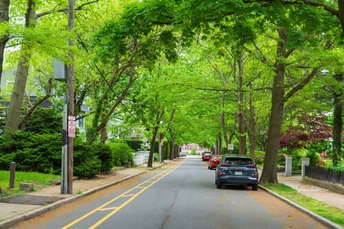Dark blue SUV parked on tree-lined street in shaded development