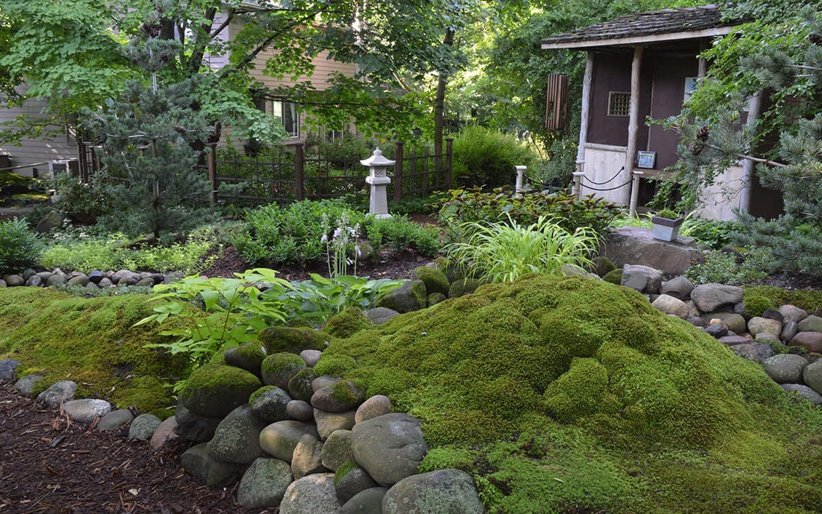 Lush green moss-covered rock formation easy to grow in serene garden