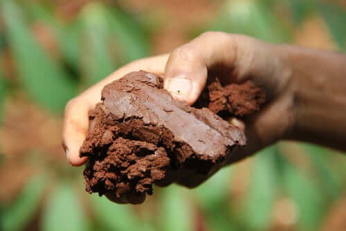 Hand holding rough dark brown clay for difficult soil landscaping