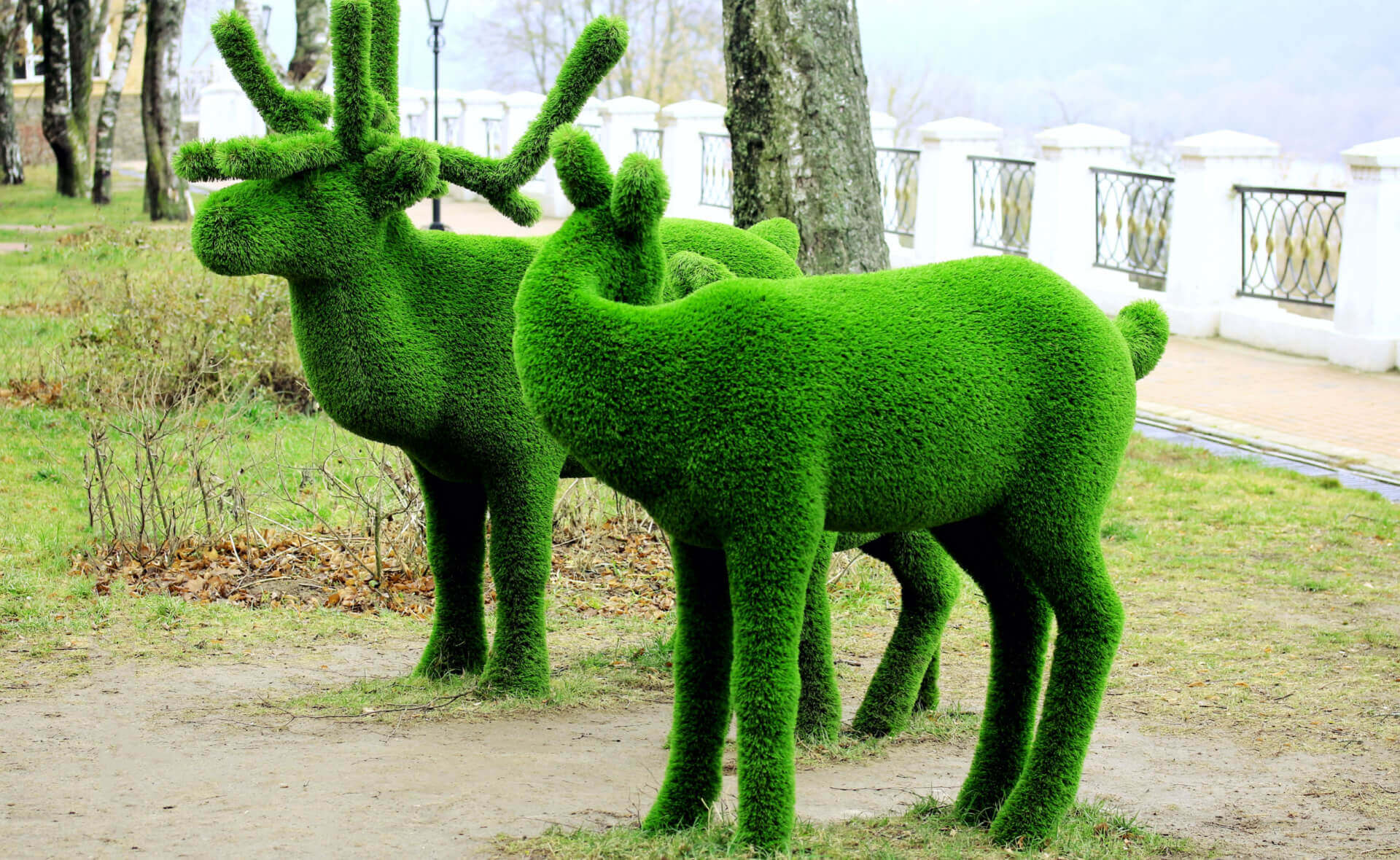 Vibrant green topiary deer with detailed antlers in moss garden