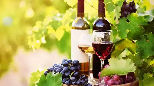 Vine masterpieces: white and dark wine bottles with red white wine glasses and grapes