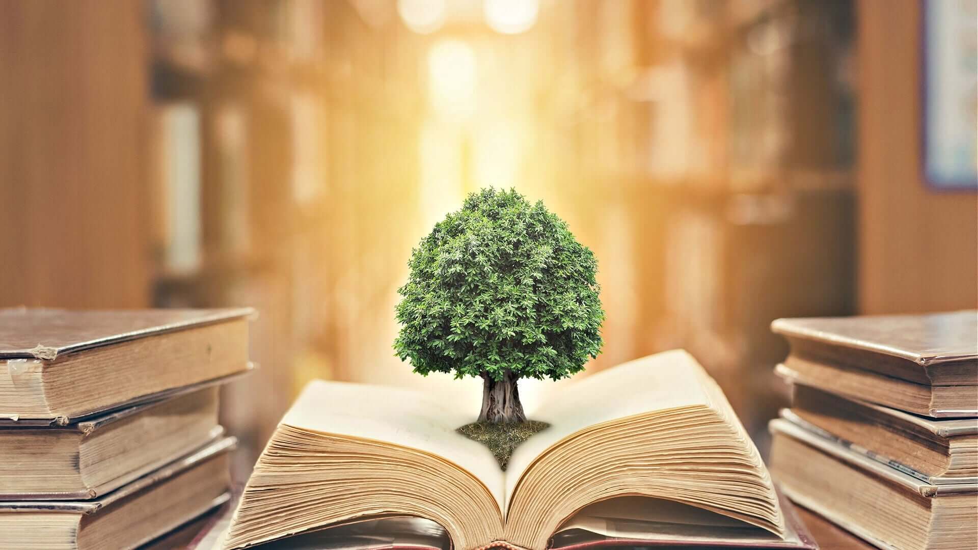 Lush green tree with textured bark on pages of aged book in plant folklore article