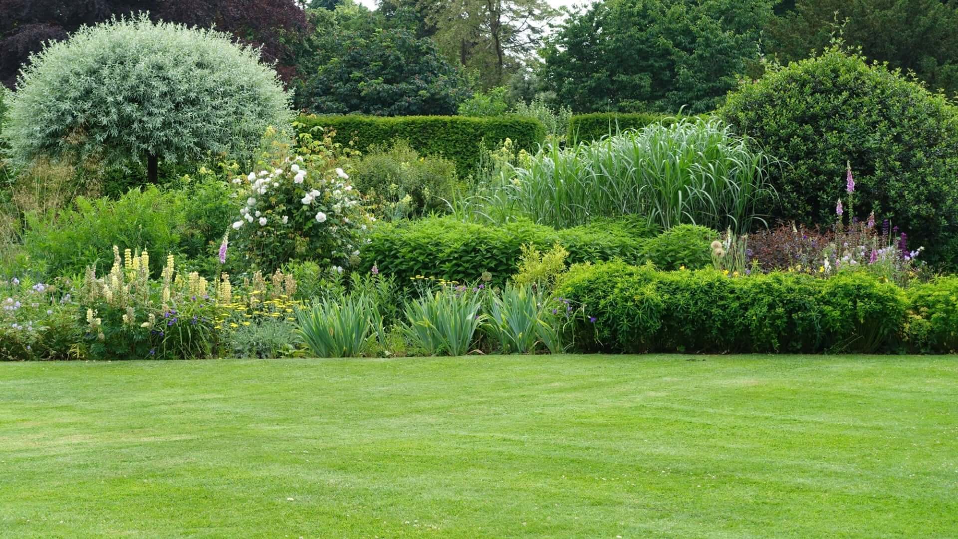 Lush green lawn bordered by vibrant ornamental garden of hedges, grasses, and flowers