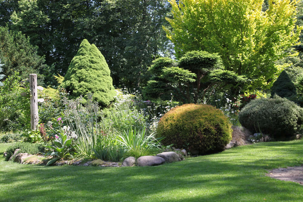 Lush green lawn bordered by manicured native shrubs for privacy screen