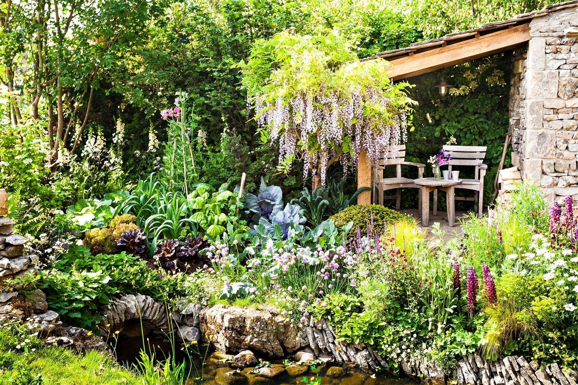 Rustic wooden bench and table under stone shelter amid fast-growing native trees greenery