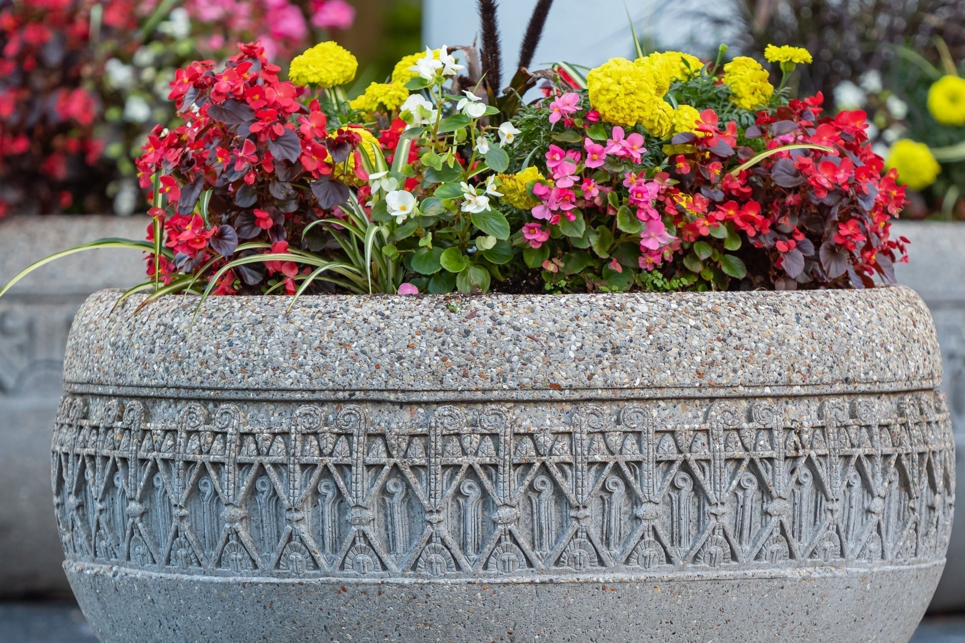 Gray stone gothic planter with vibrant flowers, avoid gardening mistakes