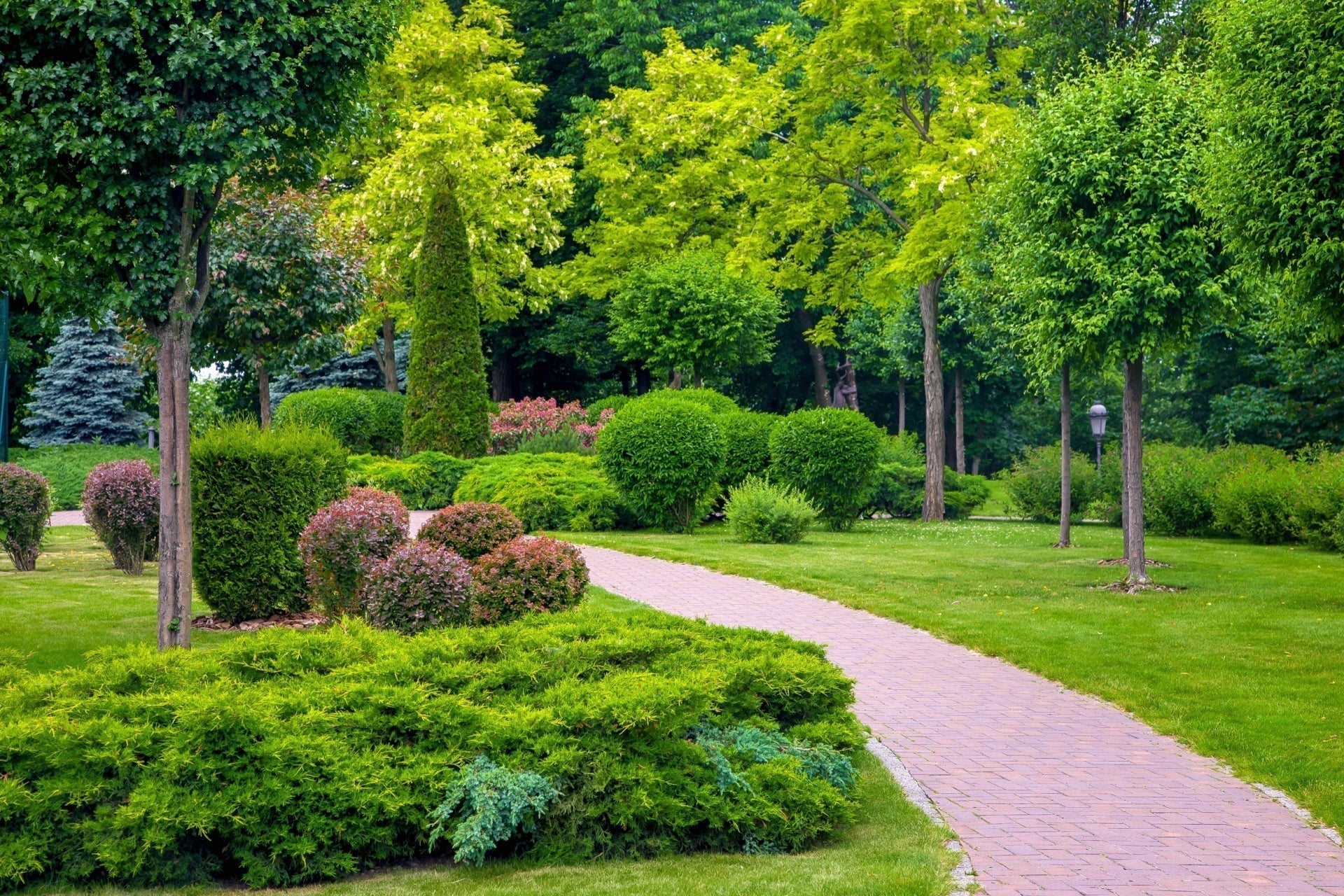 Winding brick path through lush garden with evergreen trees and hedges