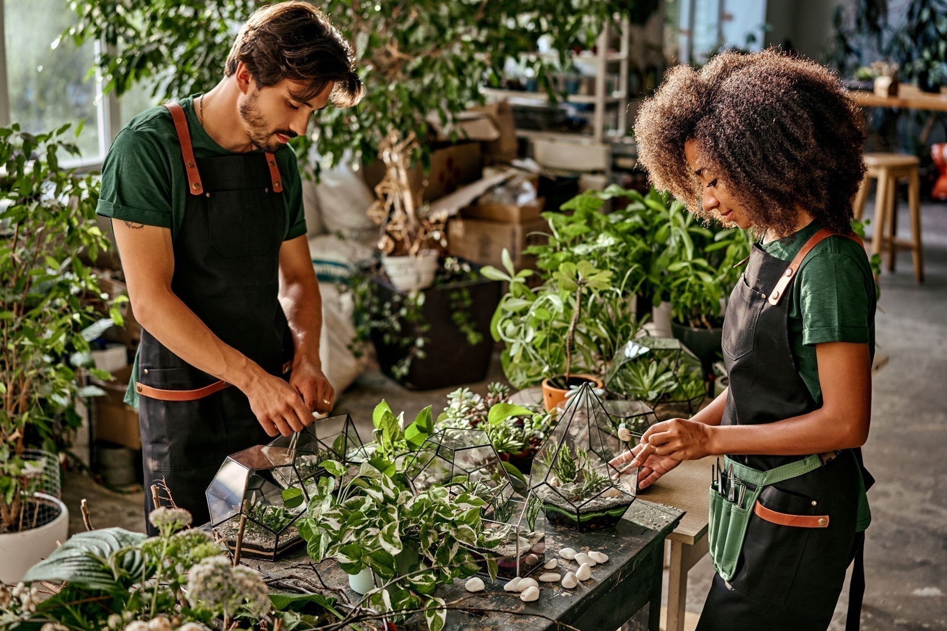 Geometric glass terrariums with lush green plants and white pebbles from TN Nursery