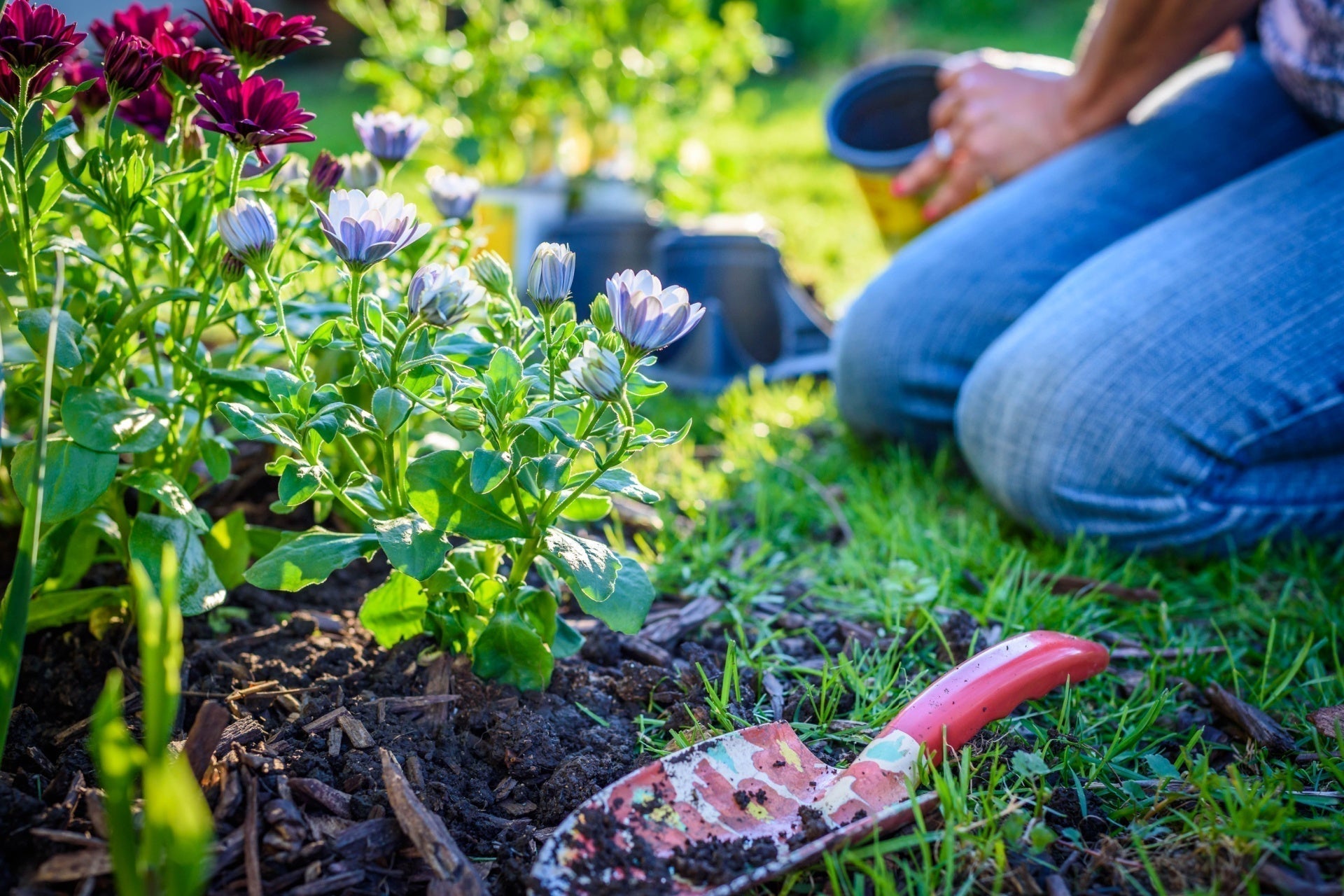 Red-handled garden trowel with soil-covered metal blade for mulching