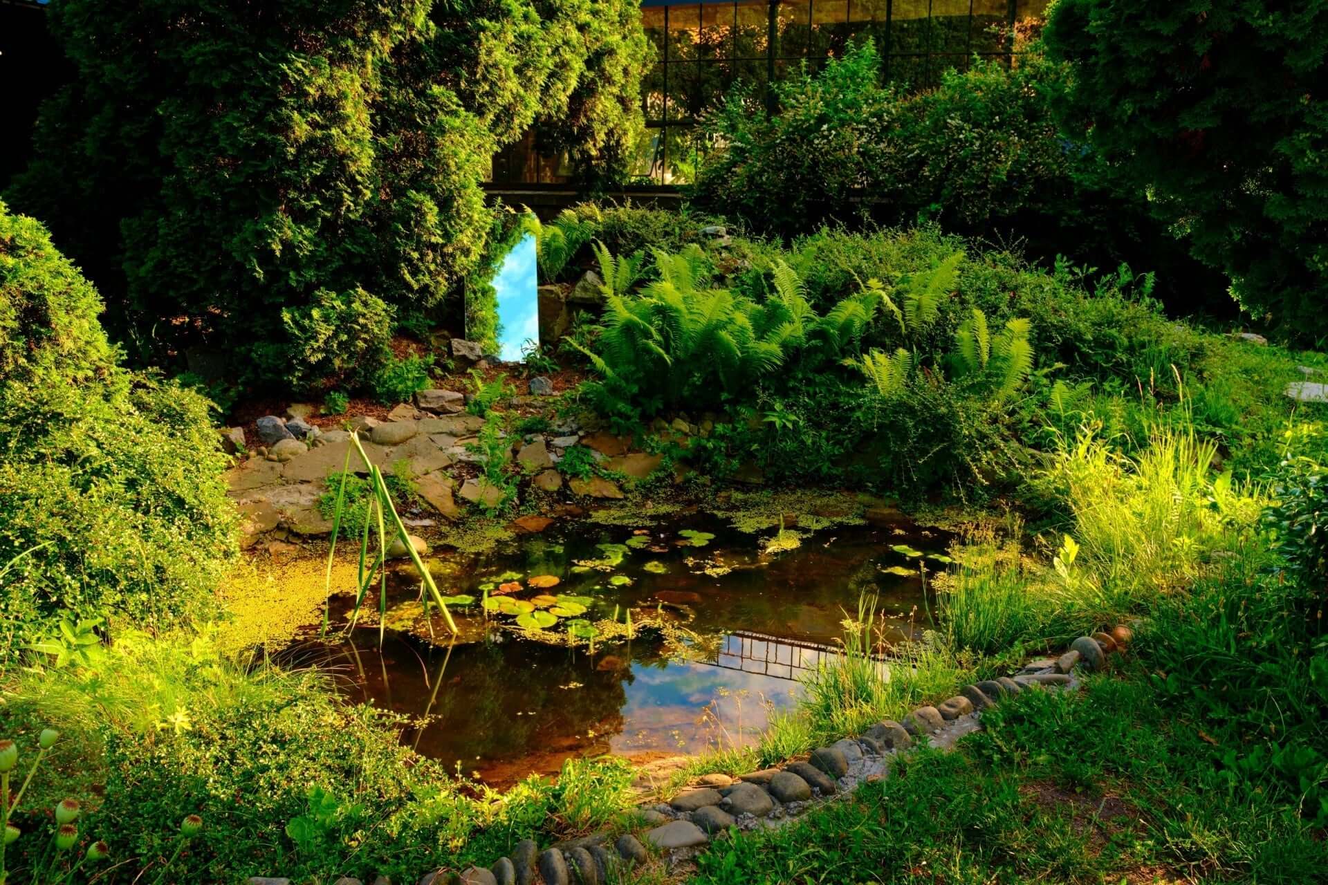 Serene sustainable rain garden pond with native plants and stones