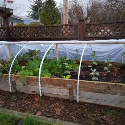 Wooden raised garden bed with white cover and arched supports for winter protection