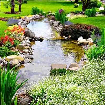 Serene stream meanders through lush TN Nursery wetland garden with flowers