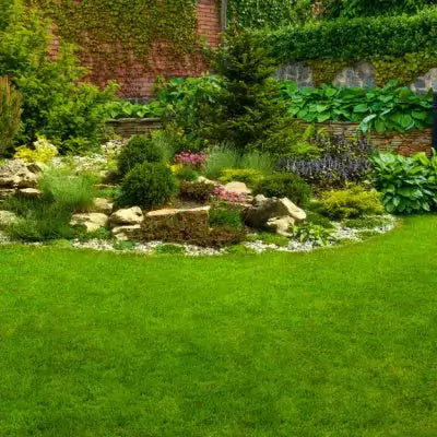 Lush green lawn with vibrant summer garden bed of foliage, rocks and flowers