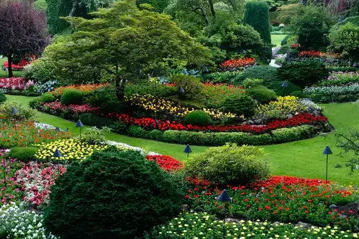 Vibrant landscaped garden with colorful flowerbeds and winding paths