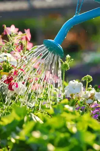 Bright blue watering can spraying flowers in scheduled garden calendar