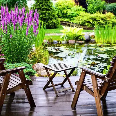 Dark wooden patio set with slatted seats and folding table for water garden.