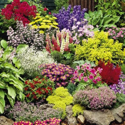 Vibrant perennial garden bed bursting with colorful red, purple, yellow, pink, white flowers for 2023