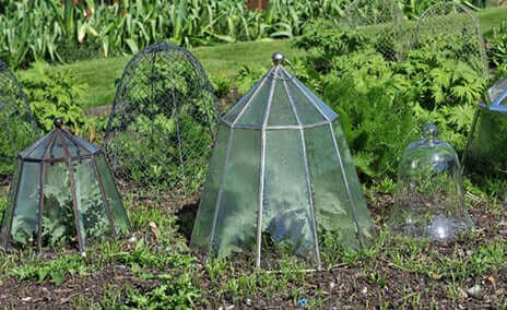 Geometric glass cloche with metal frame protects garden from harsh weather