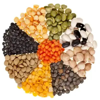 Colorful dried lentils and beans in circle, seeds for growing vegetables