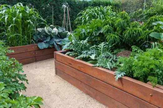 Brown wooden raised garden bed with lush green leafy vegetables