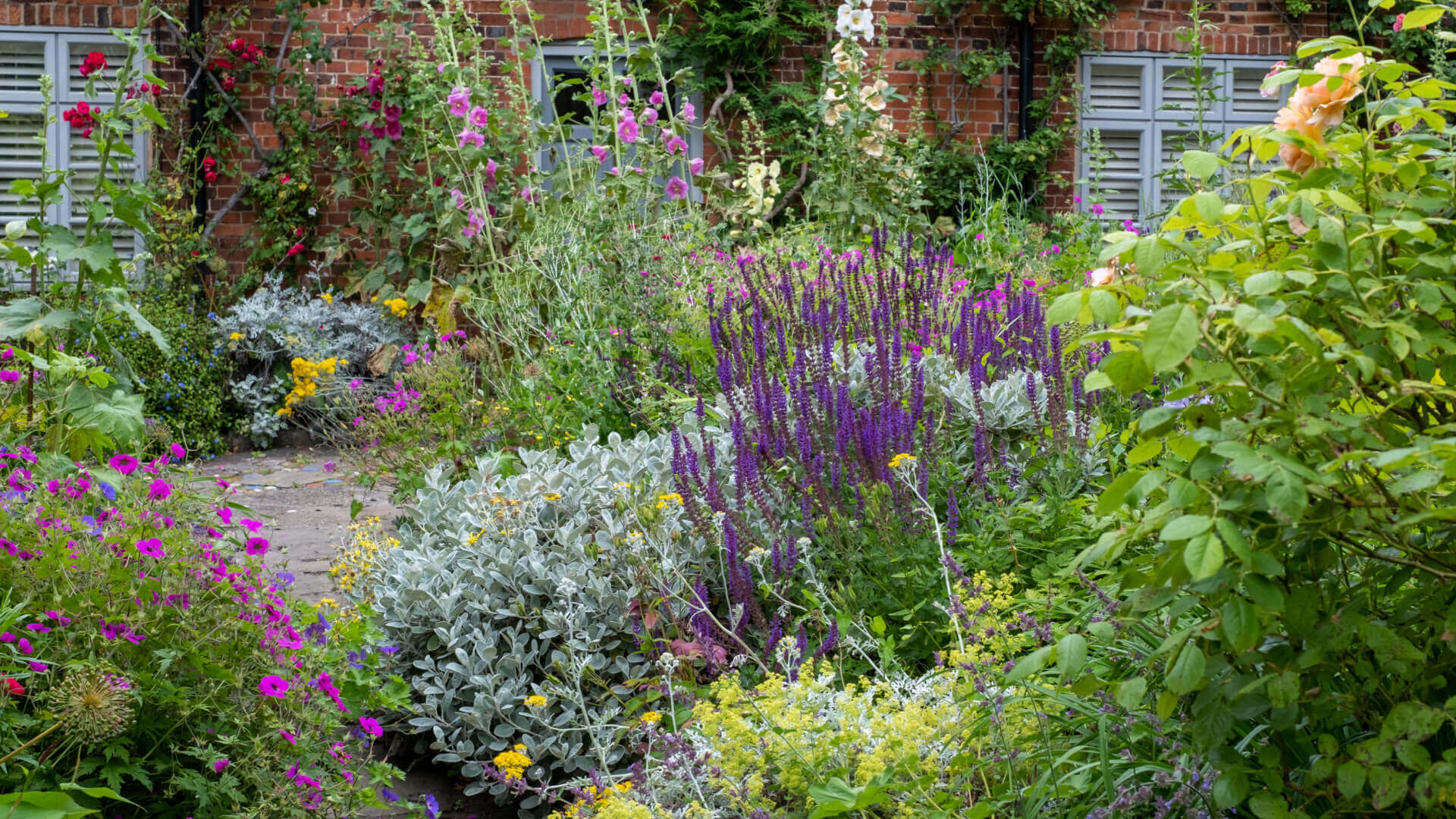Vibrant garden phlox with purple salvia, pink yellow flowers by brick house