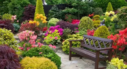 Dark brown wooden bench with lattice back amid huge colorful garden plants