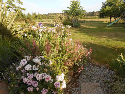 Lush perennial garden bed with pink and white flowers, foliage, tall grasses