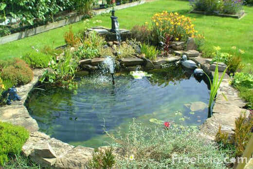 Stone-edged garden pond with dark green water and lush plants