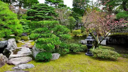 Black lantern with intricate metalwork in traditional Japanese design