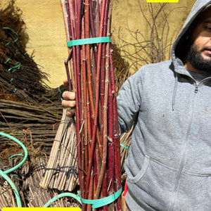 Bundle of reddish-brown live stakes tied with green straps, Brush Layer Bundles