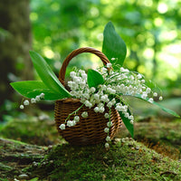 Ivory Blooming Trio