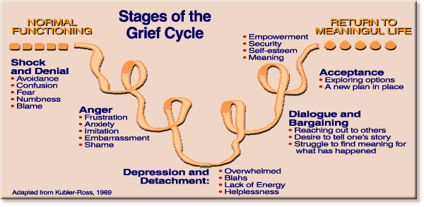 Image result for grief cycle