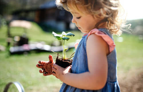 Young child holding small potted plant with green leaves and roots in gardening with children article