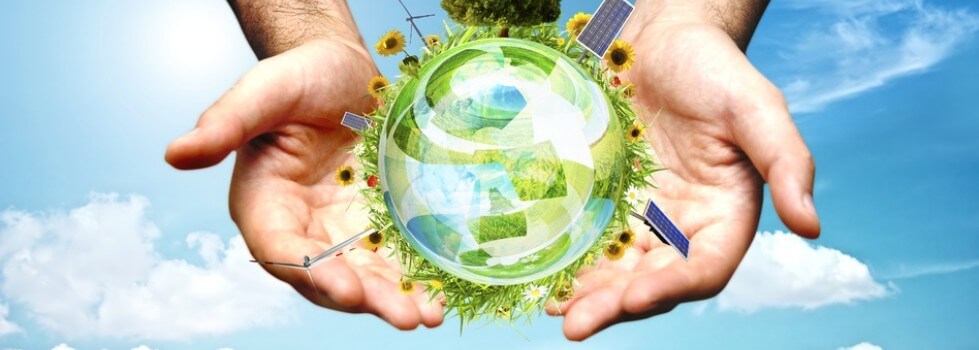 Translucent green globe with solar panels, sunflowers in TN Nursery hands