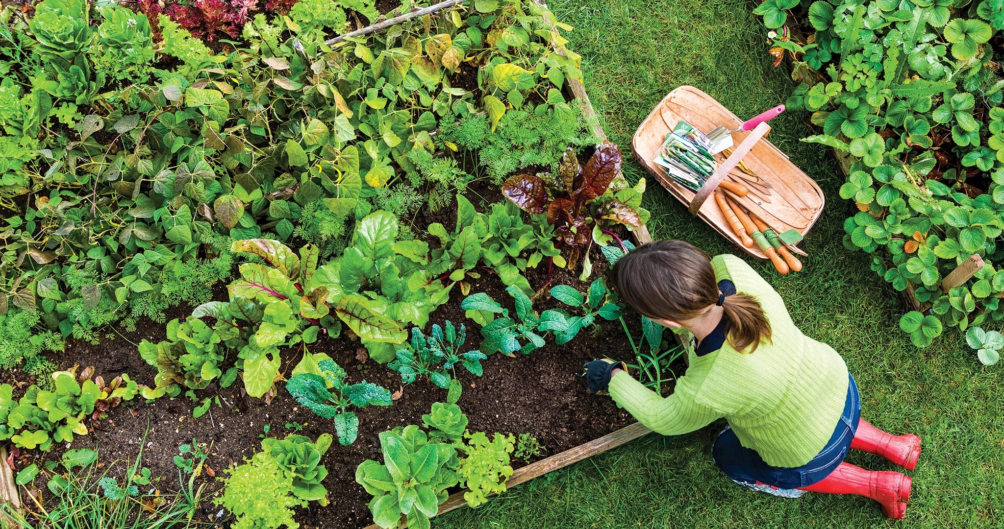 Gardening at Home | Information and Facts - TN Nursery