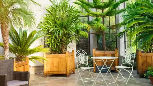 White metal folding chairs with ornate backrests for landscape planning
