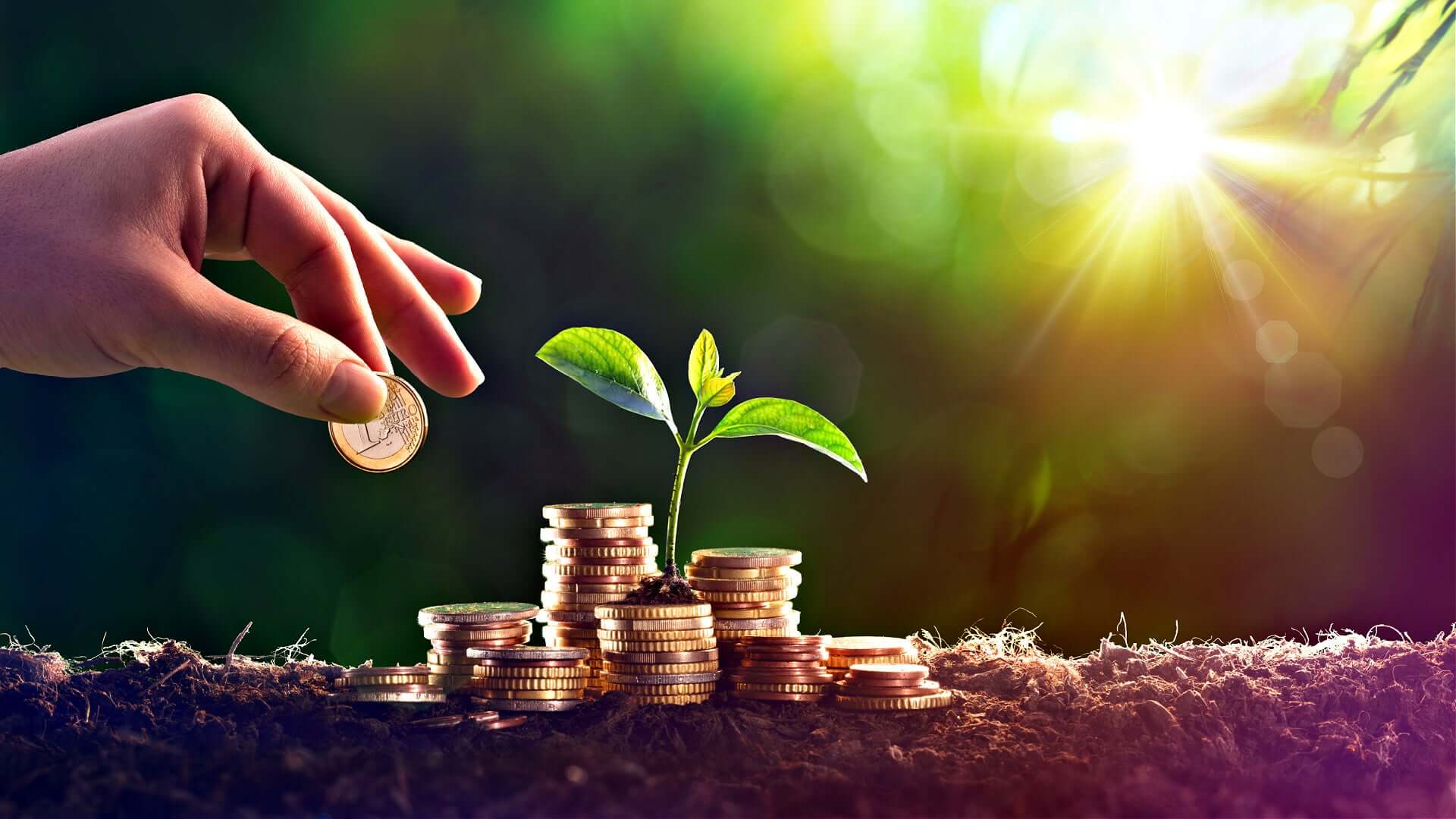 Hand placing golden coin on stacks with green sprout, for plant nurseries