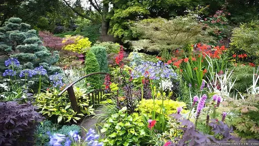 Vibrant flower garden bursting with colorful blooms in purple, blue, yellow, red, and green.