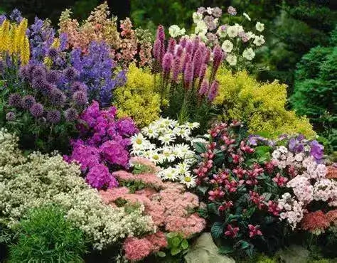 Vibrant perennial garden bed with purple yellow pink white green flowers