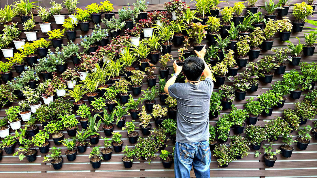 Man in gray t-shirt and jeans before lush vertical garden wall
