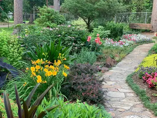 Winding stone path through lush perennial garden with yellow flowers
