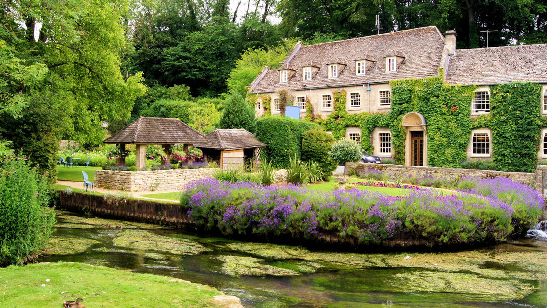 Stone cottage with ivy-covered walls and thatched roof by creek